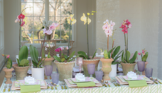 Orchid Conservatory