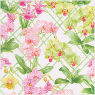 Orchid Conservatory Gift Wrap - One 30" X 8' Roll