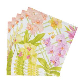 Orchid Conservatory Dinner Napkins - 20 Per Package