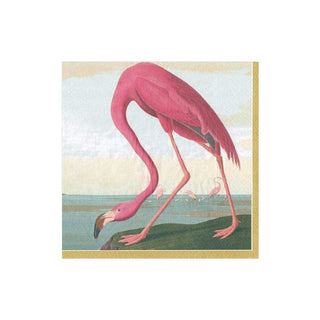 Caspari Audubon Birds Paper Cocktail Napkins - 20 Per Package 13120C