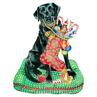 Christmas Lab Advent Calendar - 1 Each ADV253