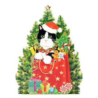 Christmas Cat Advent Calendar - 1 Each ADV283