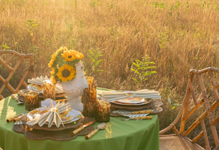 Sunflower Fields