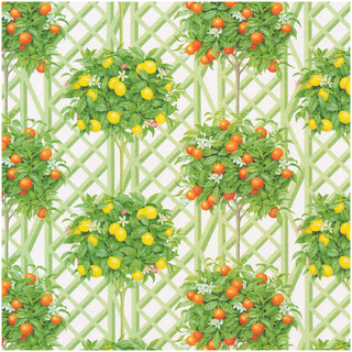 Citrus Topiaries White Roll Wrap 30 Inch X 8Ft-2 Inch Core