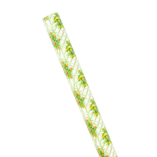 Citrus Topiaries White Roll Wrap 30 Inch X 8Ft-2 Inch Core