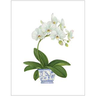 White Orchid Enclosures 4 Pk