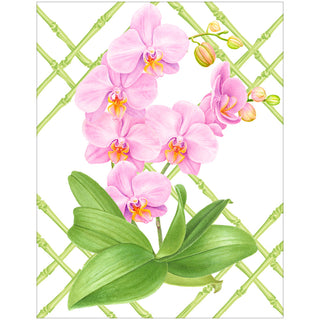 Orchid Conservatory Gift Enclosure Cards - includes 4 cards & envelopes