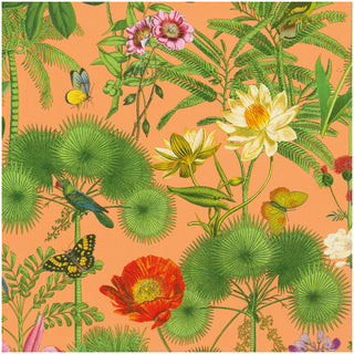 Paradise Garden Melon Gift Wrap 101530RC