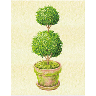 Topiary Gift Enclosure Cards - includes 4 cards & envelopes