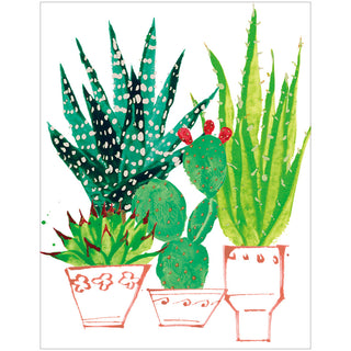 Succulents Gift Enclosure Cards - includes 4 cards & envelopes