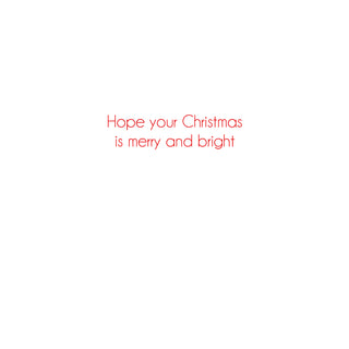 Christmas Flamingo Classic Christmas Cards - Includes 5 Cards & Envelopes