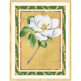 Magnolia Bloom Large Boxed Christmas Cards - includes 15 Boxed Christmas Cards