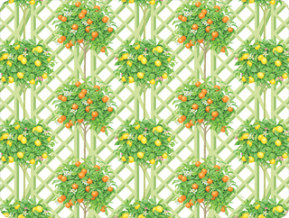 Citrus Topiaries White Paper Placemats Rectangle 12-In