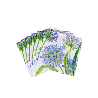 Agapanthus Garden  Napkin Box Cocktail - 40 per box