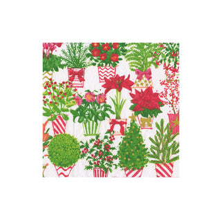 Christmas Flower Market  Napkin Box Cocktail - 40 per box