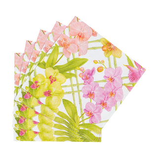 Orchid Conservatory Napkin Cocktail