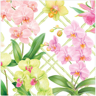 Orchid Conservatory Napkin Dinner