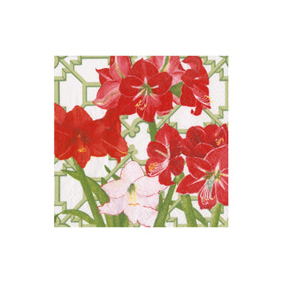 Amaryllis Conservatory Cocktail Napkins - includes 20 Cocktail Napkins