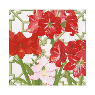 Amaryllis Conservatory Luncheon Napkins - includes 20 Luncheon Napkins