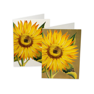 Sunflower Assorted Notes 8 In