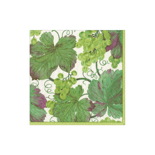 Vineyard Blanc Boxed Cocktail Napkins - includes 12 Boxed Cocktail Napkins