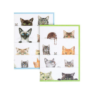 Kitties Assorted Notes 8 In