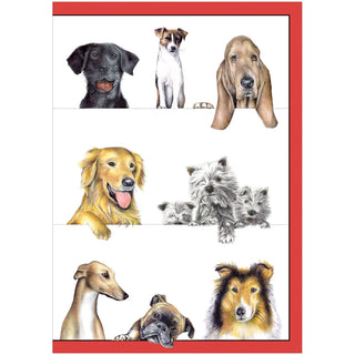 Dogs Assorted Notes 8 In