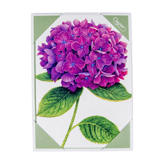 Hydrangeas Assorted Notes 8 In