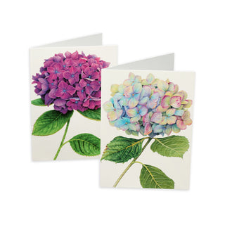 Hydrangeas Assorted Notes 8 In