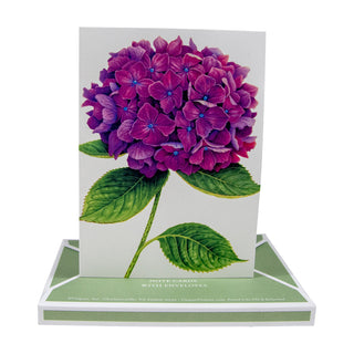 Hydrangeas Assorted Notes 8 In