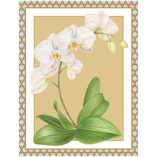 Winter Whites Blank Classic Christmas Cards - Includes 5 Cards & Envelopes