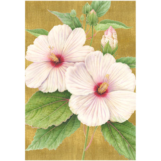 Hibiscus Anniversary Greeting Card - 1 card with envelope