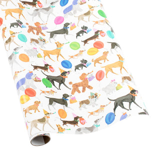 Winston and Friends Gift Wrapping Paper - 76 cm  x 2.4 m  Roll