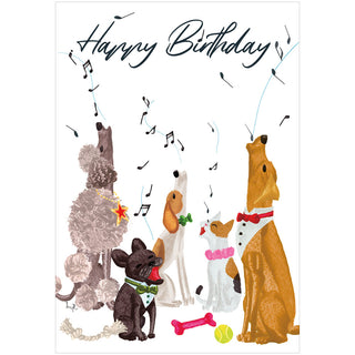 Birthday Serenade Birthday Greeting Card - 1 card with envelope