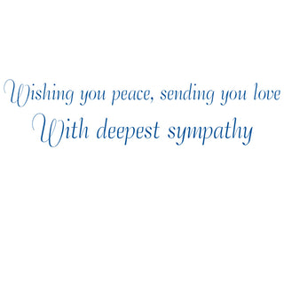 Dragonfly And Waterlily Sympathy Greeting Card - 1 card with envelope