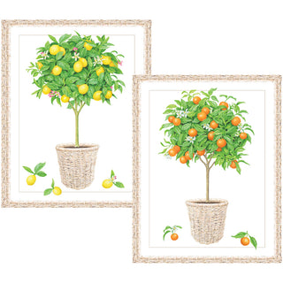 Citrus Topiaries Embossed Asst A Sz Note 10-In Embossed