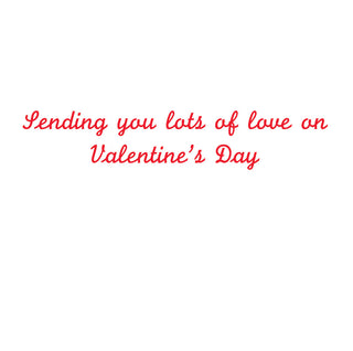 Valentine Dog On Bicycle Valentine Greeting Card - 1 card with envelope