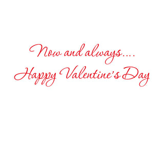Big Heart Valentine Greeting Card - 1 card with envelope