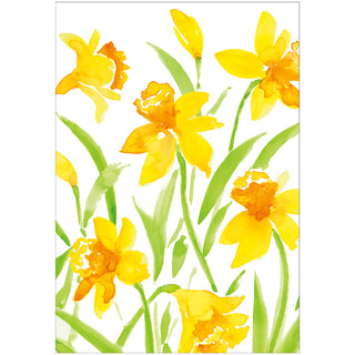 Daffodil Field Blank Greeting Card - 1 Card With Envelope