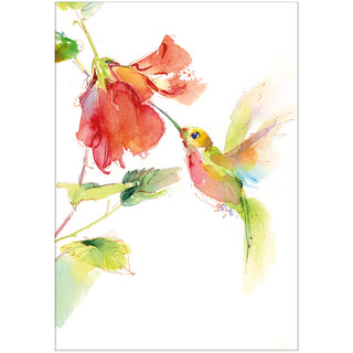 Hummingbird Blank Greeting Card - 1 Card With Envelope