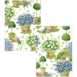 Potted Hydrangeas Assorted Boxed Note Cards - includes 8 notes & envelopes