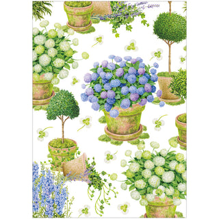 Potted Hydrangeas Assorted Boxed Note Cards - includes 8 notes & envelopes