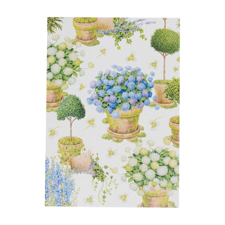 Potted Hydrangeas Assorted Boxed Note Cards - includes 8 notes & envelopes