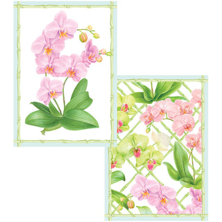 Orchid Conservatory Assorted Boxed Note Cards - includes 8 notes & envelopes