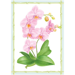 Orchid Conservatory Assorted Boxed Note Cards - includes 8 notes & envelopes