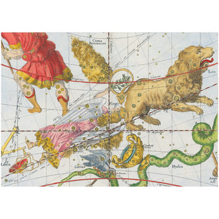 Zodiac Assorted Boxed Note Cards - includes 8 notes & envelopes