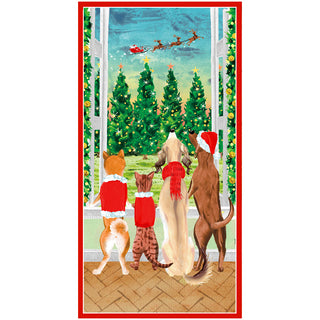 Pets At The Window Money Card - Package of 4 cards with envelopes
