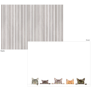 Kitties Correspondence Cards - includes 12 cards & envelopes