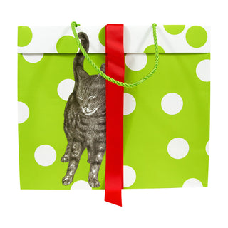 Curious Christmas Cats Gift Bag Lg 11 3/4 X 4 3/4 X 10
