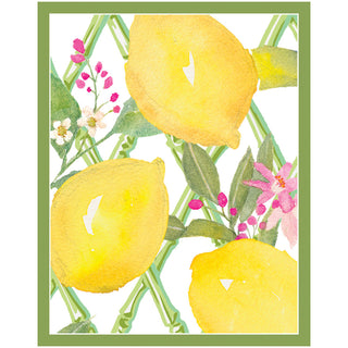 Limoncello Bridge Tallies Pkg 12 In